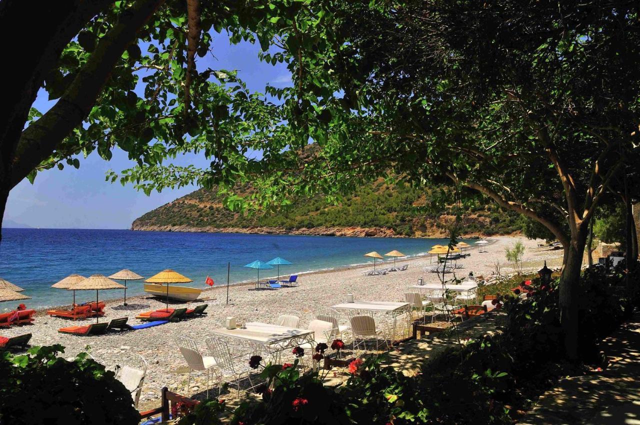 Melinda Pension & Restaurant Mesudiye  Ngoại thất bức ảnh